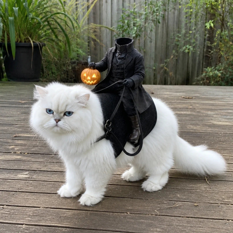 White cat wearing a headless rider costume with an orange pumpkin on a wooden deck