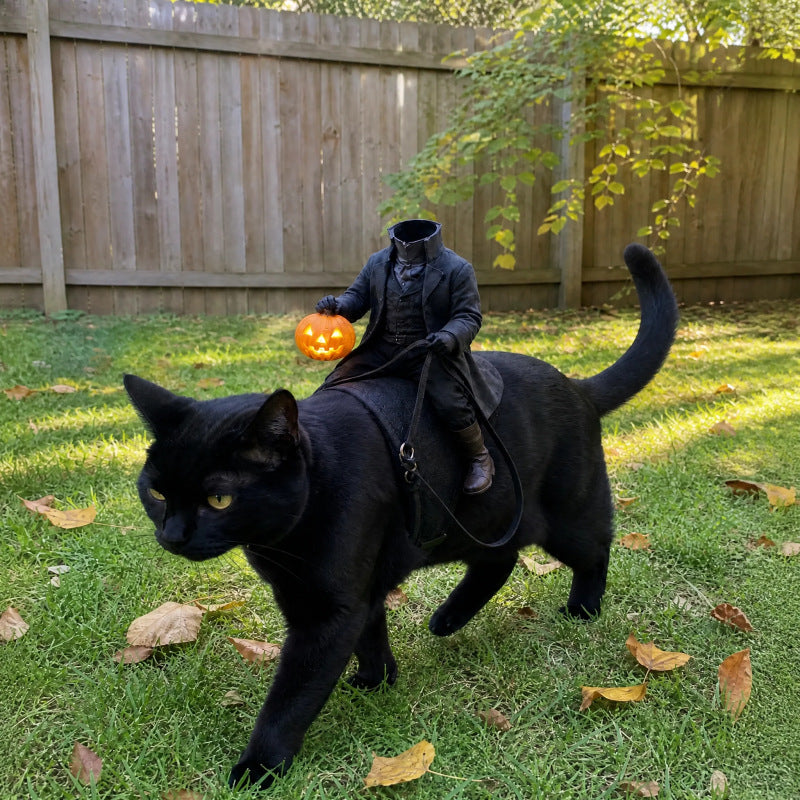 Black cat wearing a headless rider costume with an orange pumpkin on a grassy lawn