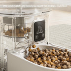 Close-up of kibble dispensing into a pet feeder bowl